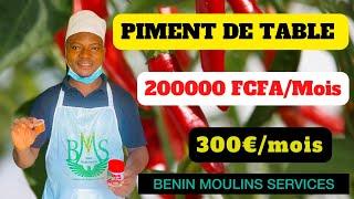 Gagner 200.000 FCFA (300€) par mois:Produire du piment de table enrichi aux fretins avec 50000 FCFA