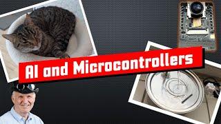 Why Microcontrollers are a good AI companion