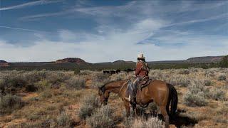 Dogs Save The Day, First Big Winter Country Ride, Horse Leaves The Ranch