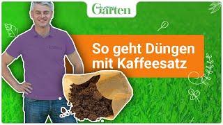 Kaffeesatz als Dünger – ideal für Gartenpflanzen