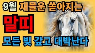 2024년 하반기 갑진년 9월 말띠 운세 드디어 결승점에 골인하는 형세다 천운이 내려 모든 빚 다 갚고 재물운까지 대박난다 90년 78년 66년 54년 42년생 #말띠운세 #9월운