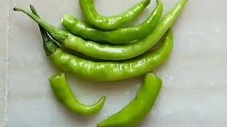 11 Green chillies Ganesh ideas