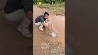 filter water