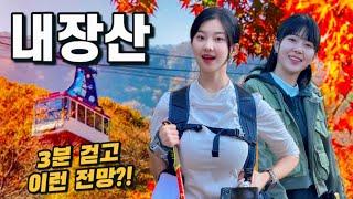 3분 걷고 즐기는 대한민국 단풍 원탑 | 안 가보면 모르는 꿀팁가득  | 내장산