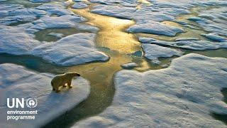 #cop15 Biodiversity is the web of life that connects us all