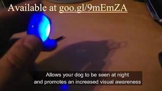 Flashing LED Dog Collar Pendant