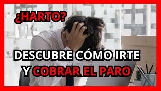 ¿Harto de tu trabajo? Las 4 formas de irte con paro y compensación