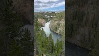 Grand Canyon of Yellowstone