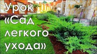 Сад легкого ухода | Курсы ландшафтного дизайна в Новосибирске | GARDEN BOOM