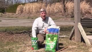 Early Spring Lawn Care