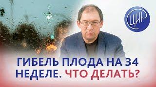 Антенатальная гибель плода на 34 неделе. С чего начать подготовку к следующей беременности?