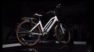 Magnum Metro Electric Bike