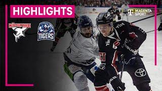 Kölner Haie - Straubing Tigers | PENNY DEL | MAGENTA SPORT