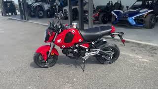 2023 Honda GROM - New Motorcycle For Sale - Sebring, FL