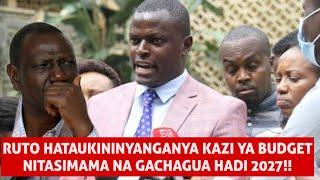 RUTO HATUKININYANGANYA KAZI YA BUDGET !!NITASIMAMA NA GACHAGUA HADI 2027 SIOGOPI LOLOTE!!