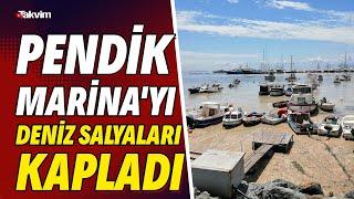 Pendik Marina'yı deniz salyaları kapladı