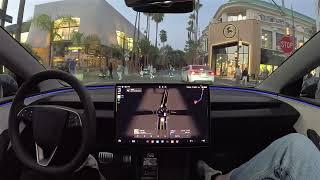 Tesla FSD 12.5.4 Crosses Through The Grove