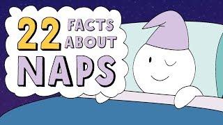 22 Facts About Naps