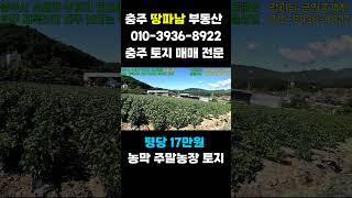 충주시 소태면 토지매매 지목 전 1,007평 평당 17만원 포장도로접 건축가능 원주 여주 제천 충주 모두 점근성 양호 전면 탁트인 조망권 토지 전문중개 땅파남 부동산 매물접수 환영