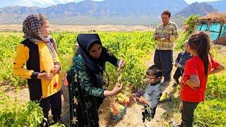 Earning to build the future: working under the scorching heat