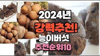 2024년 가장많이 팔릴 능이버섯  추천 베스트10