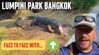 WOW, MONSTER LIZARDS In Lumpini Park Bangkok 