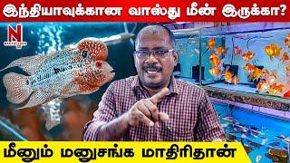 மீன் வாங்குவதற்கு முன் செய்யவேண்டியவை... Flowerhorn Fish | Fish Doctor India | Fish Farm | N 360