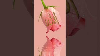 wow masallah #love #rdp #islamicgojolislamic #beautiful #best #islamicstatuswhatsapp
