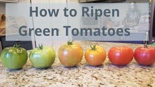 How to Ripen Green Tomatoes Indoors