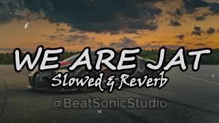 WE ARE JAT | Slowed & Reverb | LoFI | Ammy Chahar | Komal Chaudhary | Jaat Song | New Haryanvi song