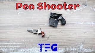 Don't Carry this Pea Shooter - TheFirearmGuy