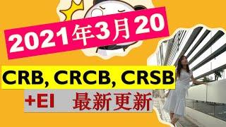 [2021年3月20日】加拿大疫情福利：加拿大复苏福利 CRB， CRCB, CRSB 最新更新+EI最新更新| 恢复福利要结束了吗？What's Next??| 婷婷谈钱 I'm Tingting