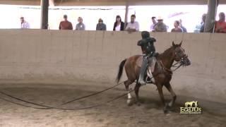 TRAINING THE YOUNG HORSE: FIRST WEEK by Monty Roberts