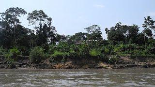 Exploring the sensitivity of the Amazon rainforest to climate change