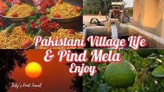 Pakistan Village Life Vlog Hot Weather | Village Mela In Pakistan | Tubewell Swimming | Simple Life