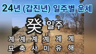 24년(갑진년)계수일주별 세운