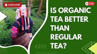 Is Organic Tea Better Than Regular Tea? |  Organic Tea Vs Regular Tea |