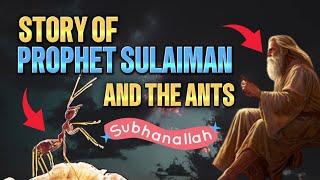 Prophet Sulaiman and the Ants | Prophet Solomon and Ant story | Soulful Lights