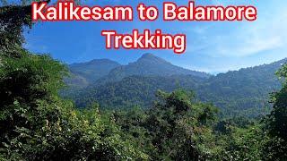 Kalikesam to Balamore Trekking | Solo Trekker Guest | #TrekTamilnadu