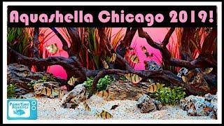 Aquashella Chicago 2019: All The Great Fish Tanks!