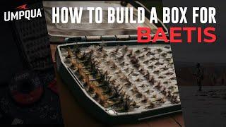 How to build a Baetis Lifecycle fly box