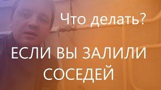 Что делать, если вы залили (затопили) соседей?