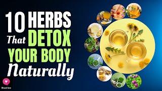 10 Herbs That Detox Your Body Naturally | Healing Herbs | Medicinal Herbs | Blissed Zone