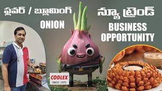 Flower Onion or Blooming Onion New Trend Business Opportunity | COOLEX Food Machines VJA