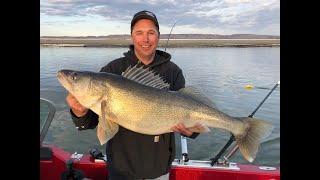 Top 10 Walleye Fishing Lakes in North Dakota