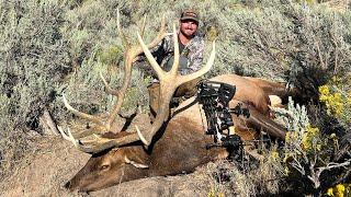 My PUBLIC LAND MONSTER BULL | An OTC Archery Elk Hunt