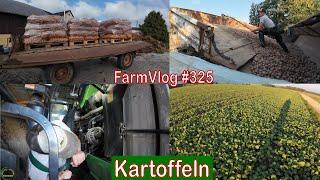 Farmvlog #325:  Kartoffelernte | Rapsbestand