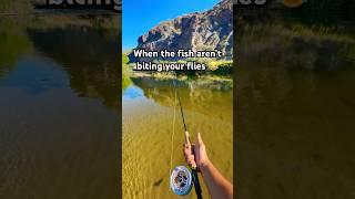 Caught a Buzz  #Shorts #Trending #flyfishing #troutfishing #trout #funny #fishingislife #fyp