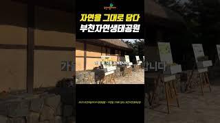 자연을 그대로 담다, 부천자연생태공원 #부천마을미디어 #팡팡필름