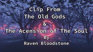 Clip From The Old Gods & The Ascension of The Soul - Aes Sidhe - Guardians of Celtic Mysteries